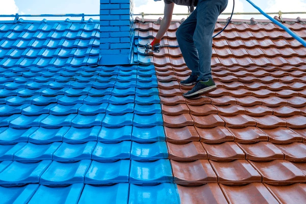 Roof Painting Services