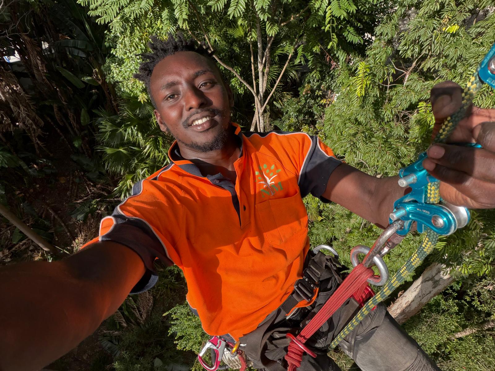 Tree Removal Services in Sydney