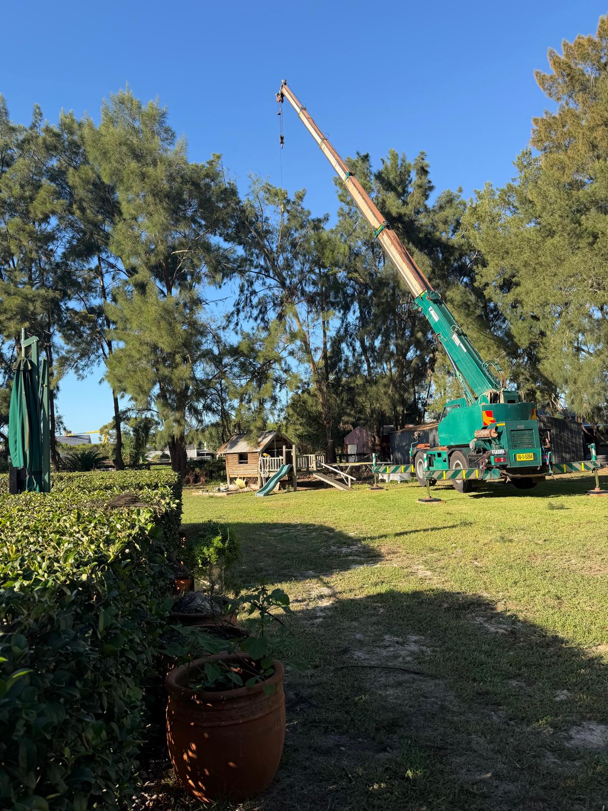 Professional Tree Removal Sydney